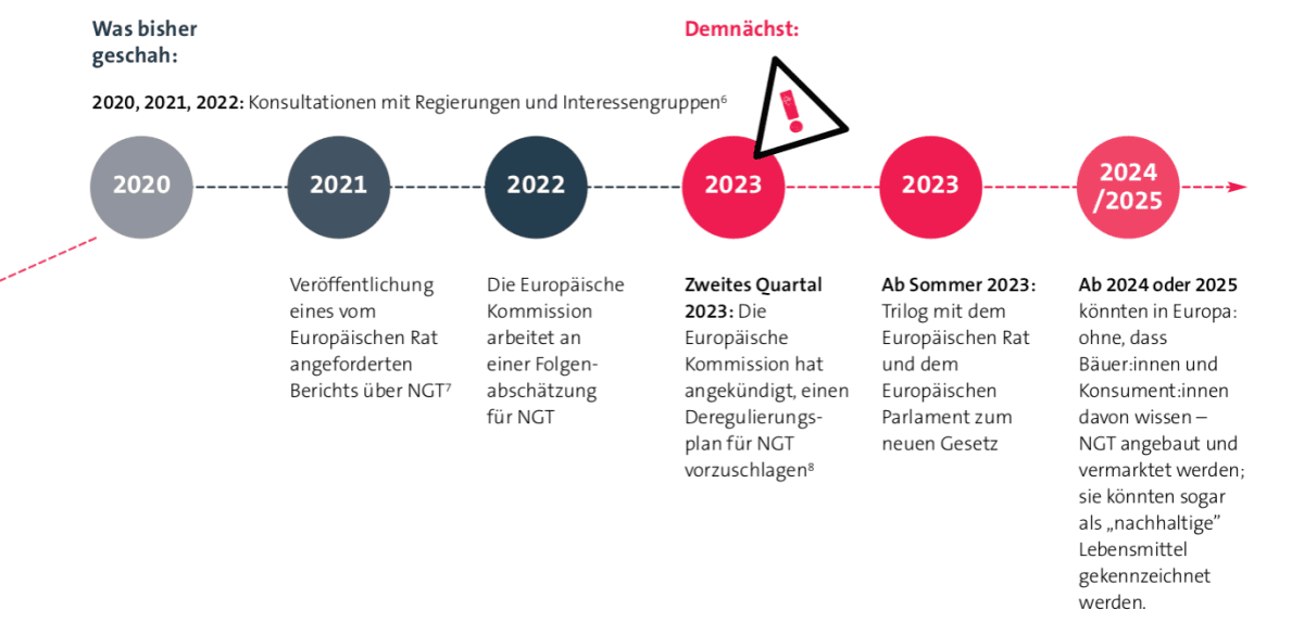 Timeline neuer Gesetzesentwurf NGT