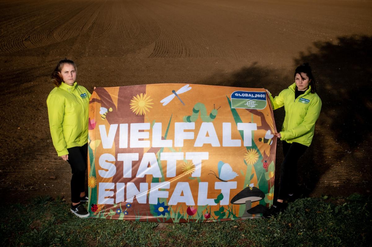 Vielfalt statt Einfalt