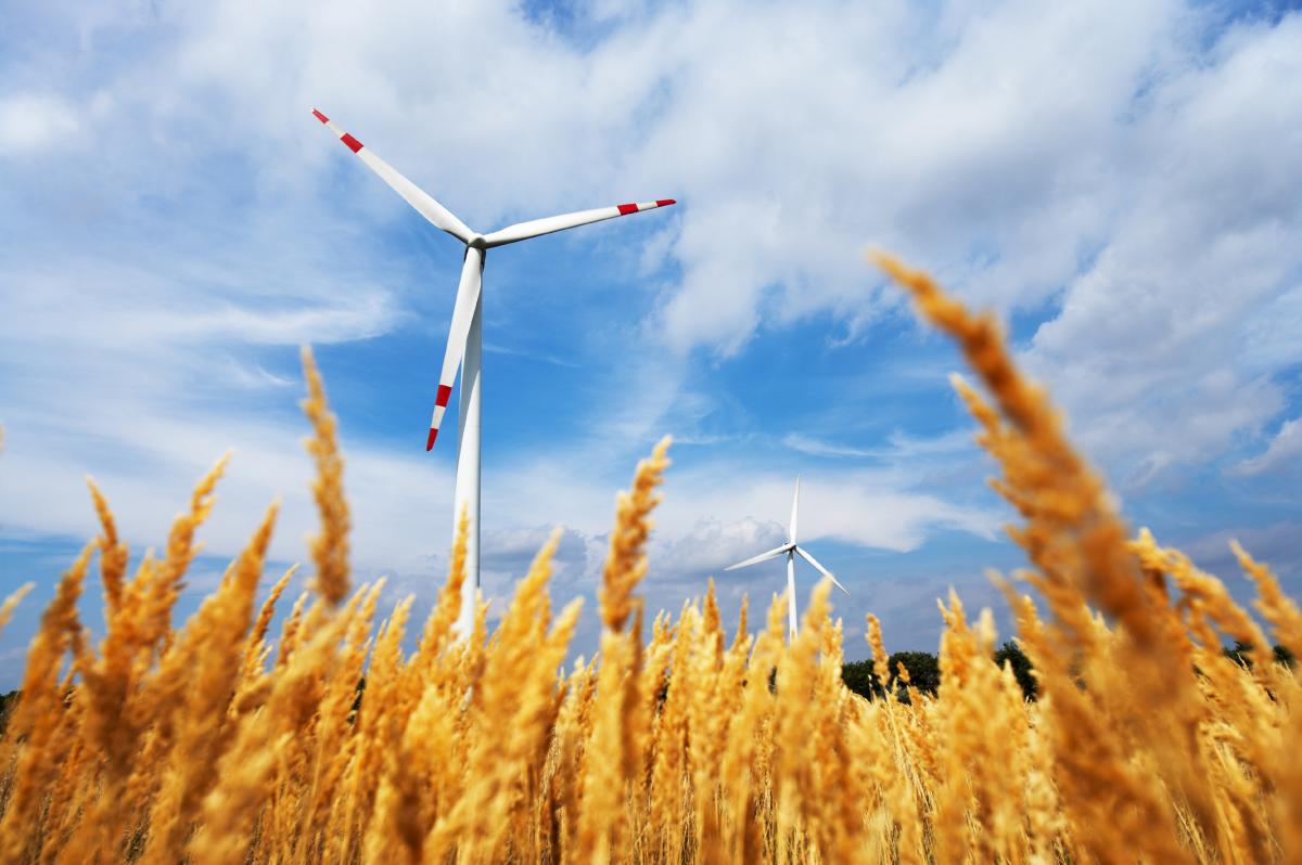 Bild: Thomas Kirschner Bild: Thomas Kirschner