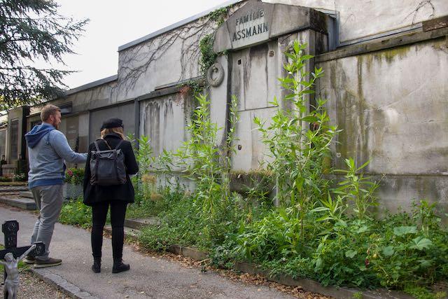 Braches Grab mit Blumenwiese am St. Barbara Friedhof