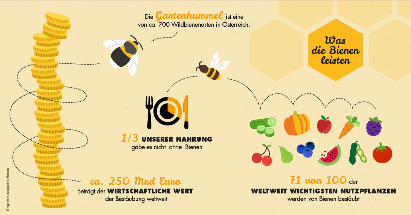 Bienen Infografik: Das leisten die Bienen