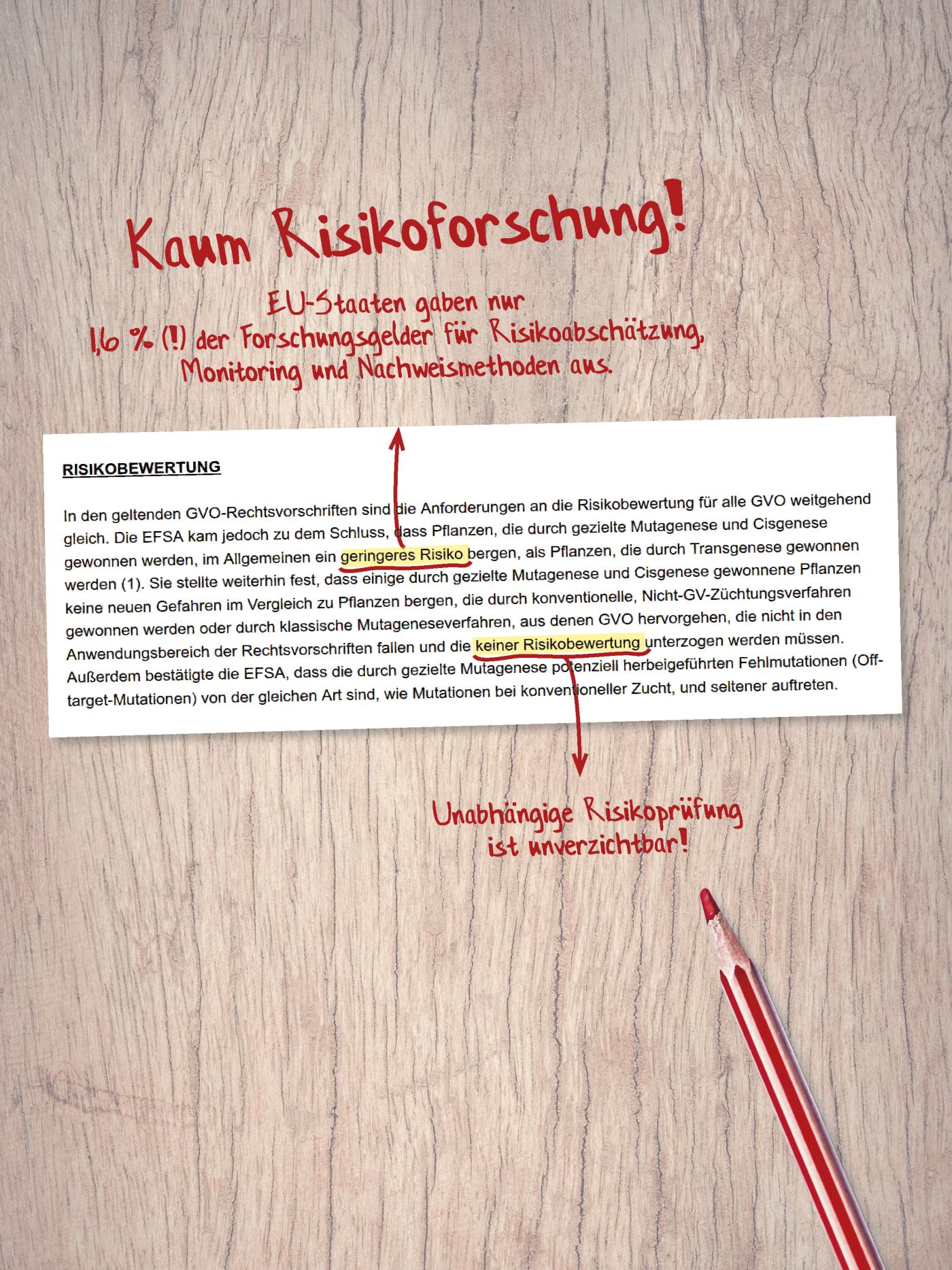 Kaum Risikoforschung