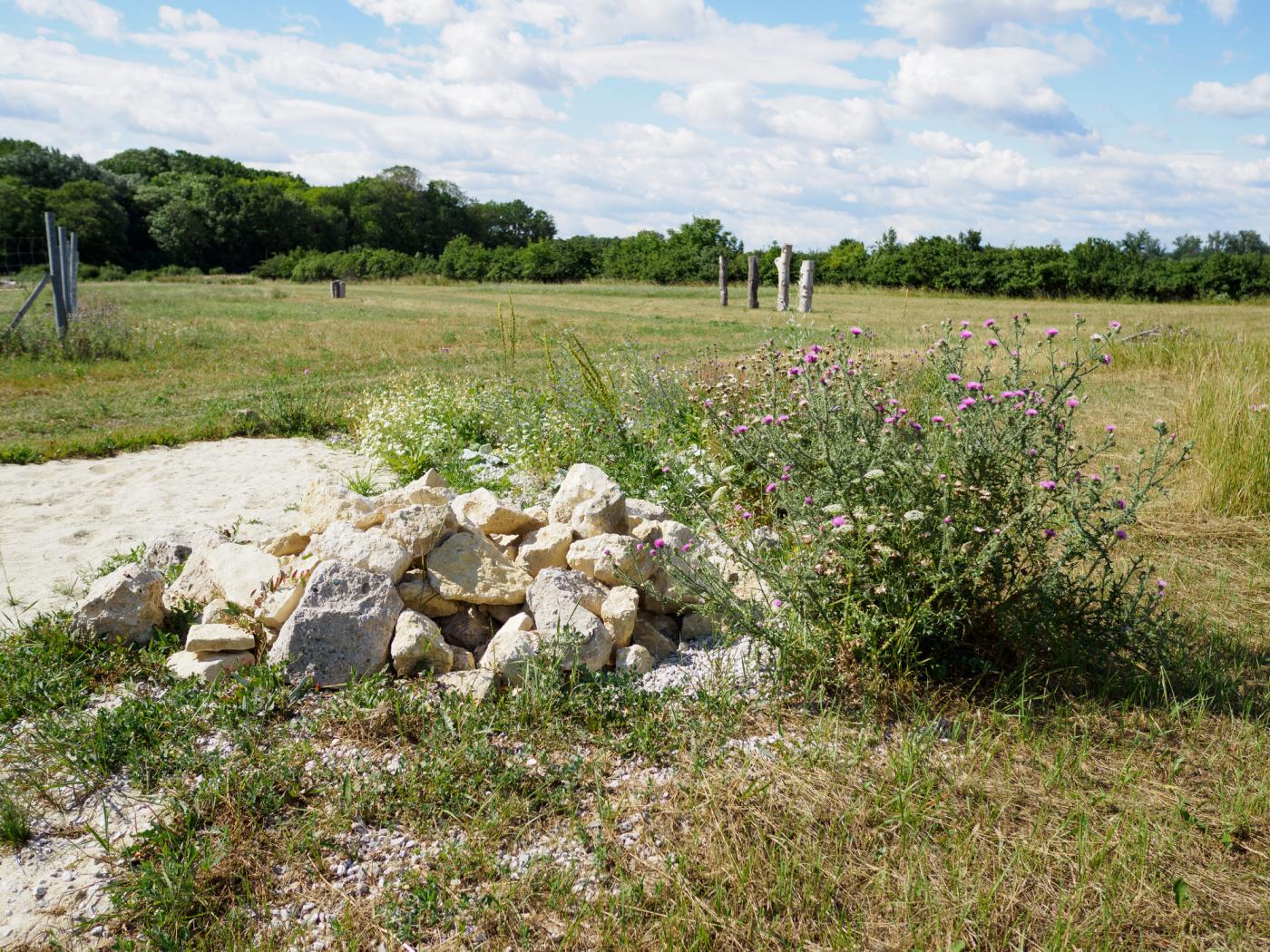 Eidechsenburg mit angrenzender Sandfläche