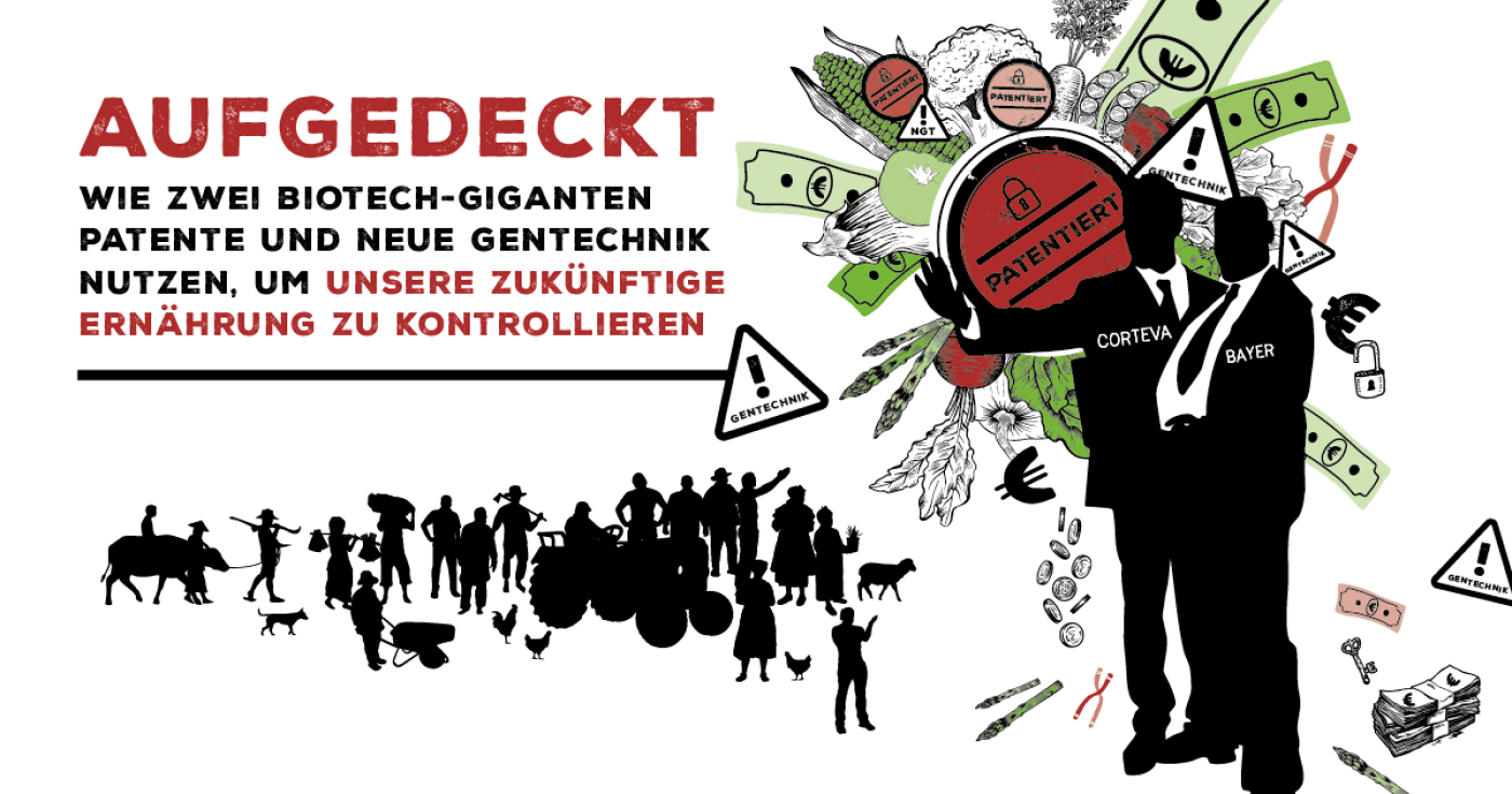 Aufgedeckt - wie zwei Biotech-Giganten Patente und Neue Gentechnik nutzen, um unsere zukünftige Ernährung zu kontrollieren