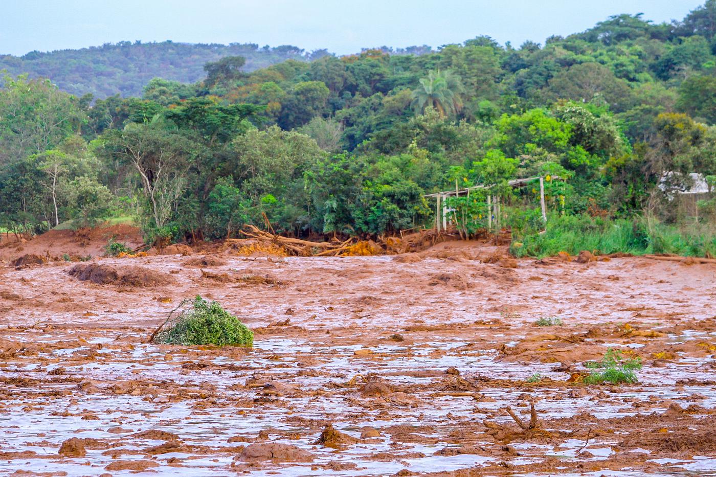 Dammbruch in Eisenerzmine in Brumadinho