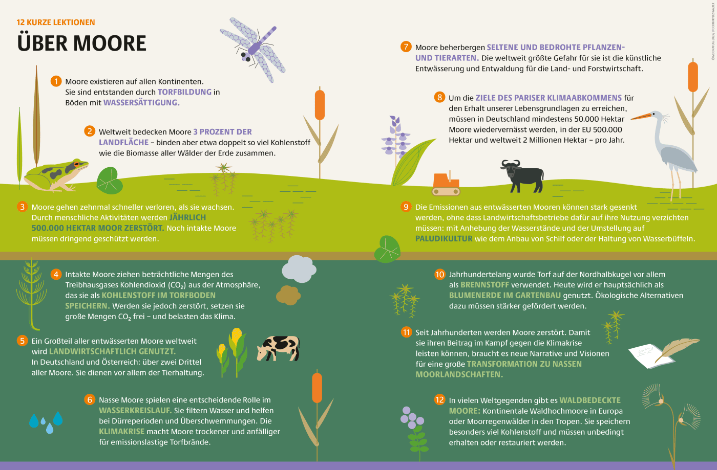 Mooratlas - kurze Lektionen über Moore