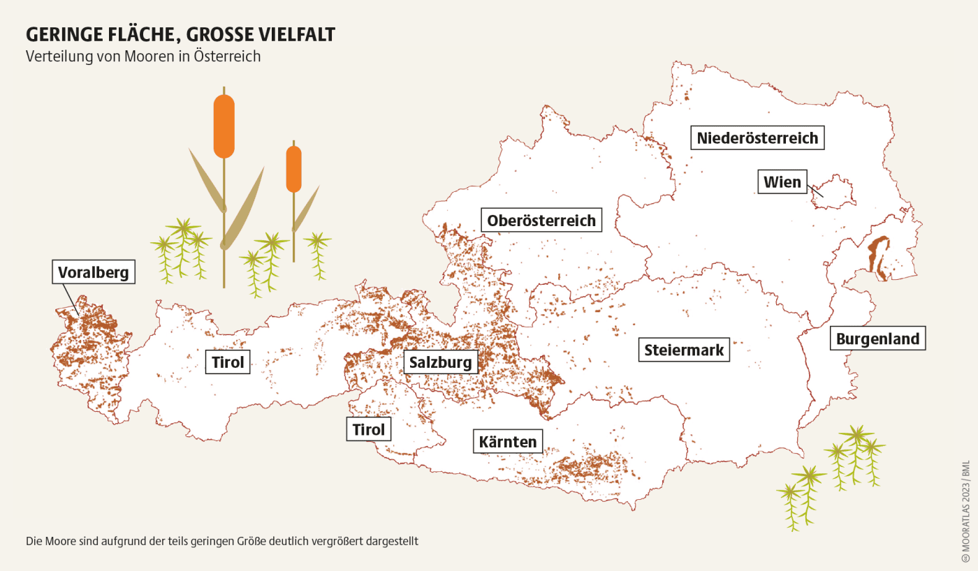 Mooratlas - geringe Fläche, große Vielfalt