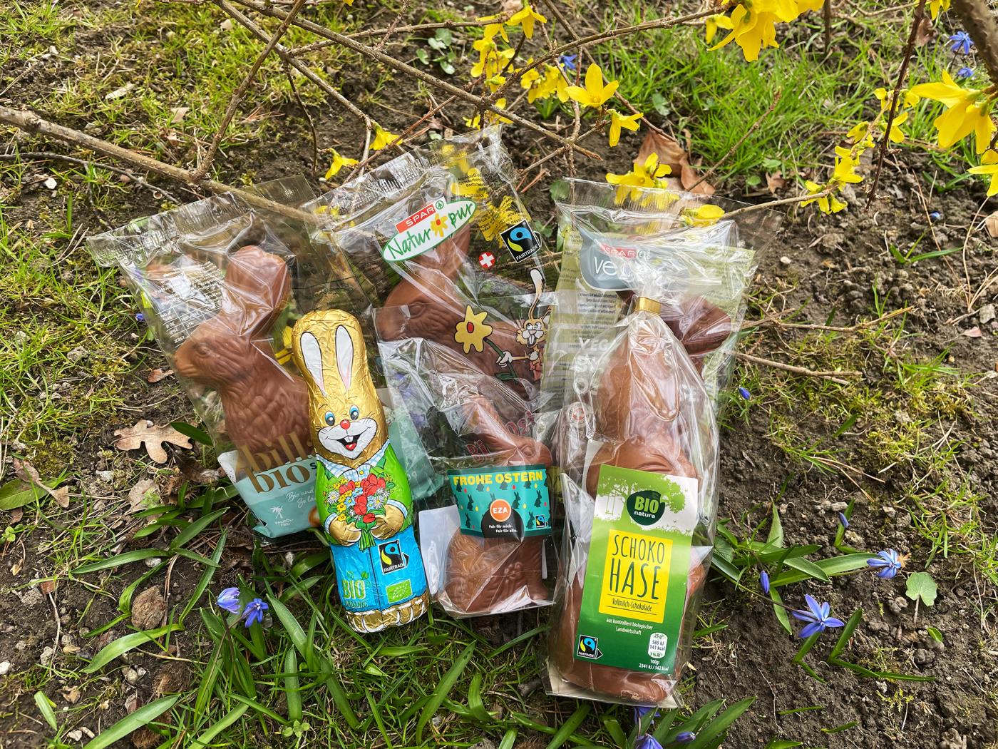 Sechs Sieger-Schokohasen auf einer Wiese mit Frühlingsblumen.