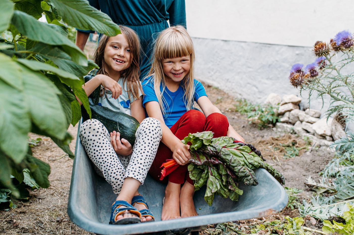 Zwei Mädchen sitzen in einer Scheibtruhe und halten Zucchini und Mangold in der Hand