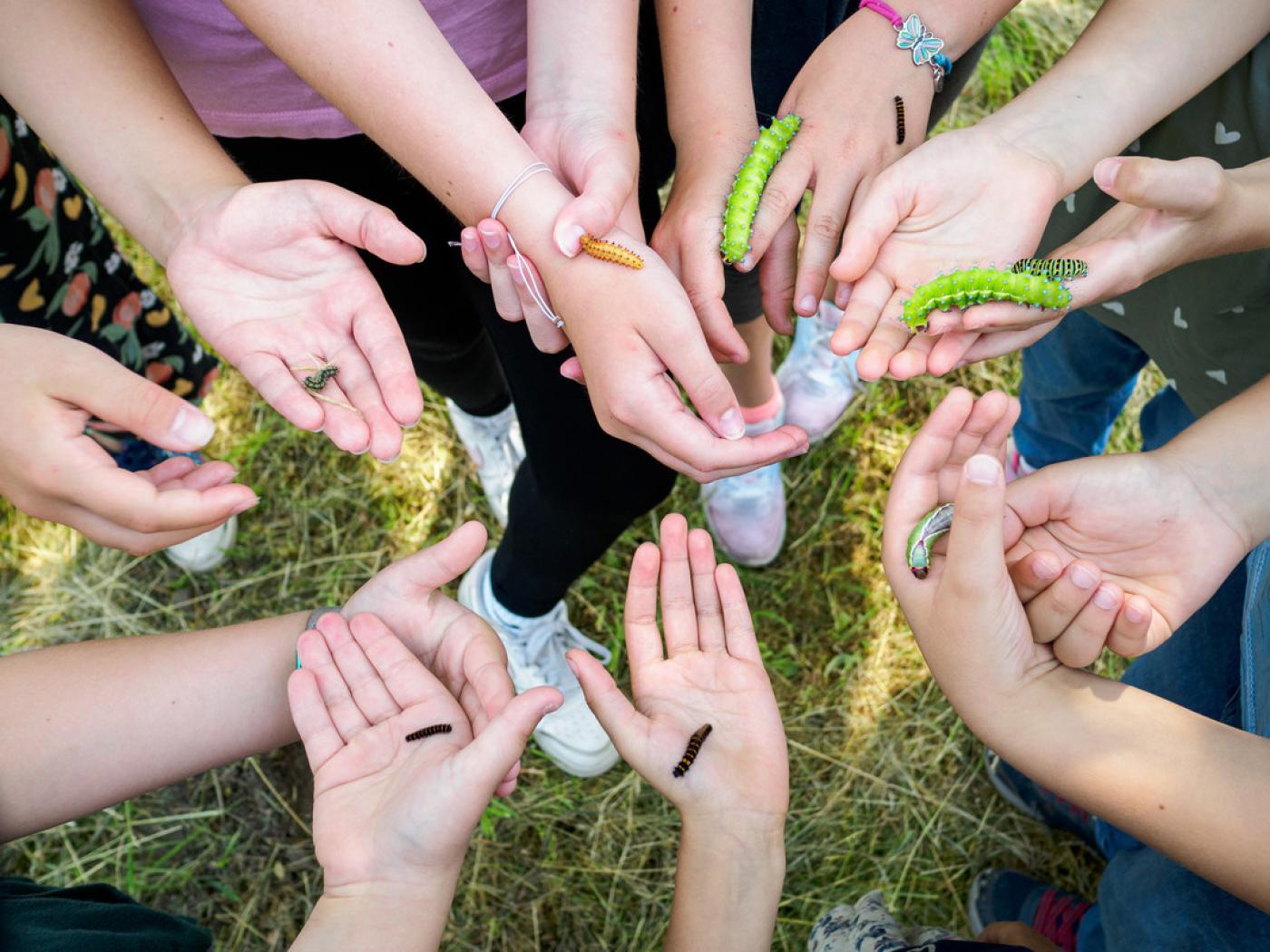 Kinder halten Raupen in der Hand