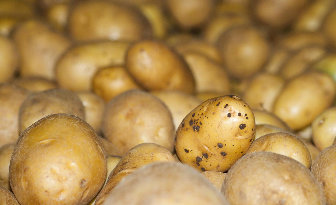 Ein Berg voller Kartoffeln