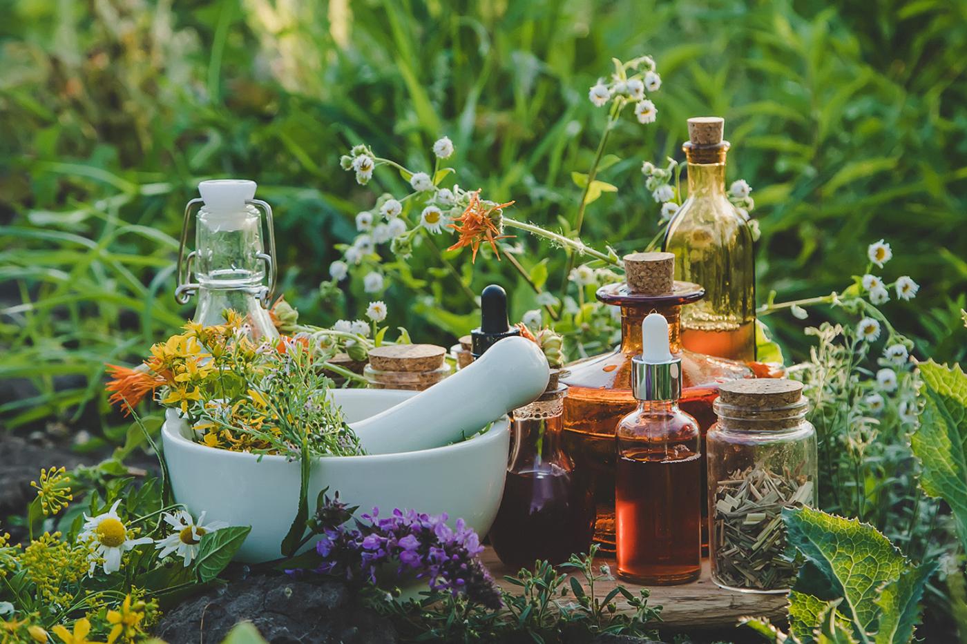 auf einem kleinen Tisch mitten in einer Kräuter und Blumenwiese stehen viele kleine Fläschchen mit Flüssigkeiten gefüllt und ein Mörser in dem Kräuter verarbeitet werden. 