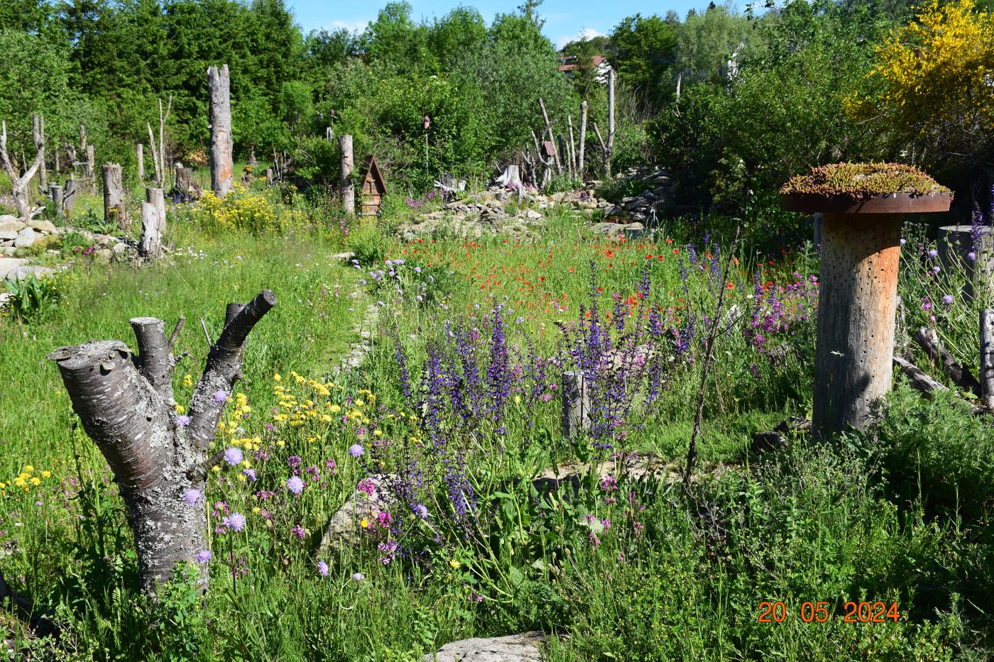 Eine Garten mit vielen Blumen und Baumstämmen, die ein herrliches Biotop für verschiedene Tiere bieten. 