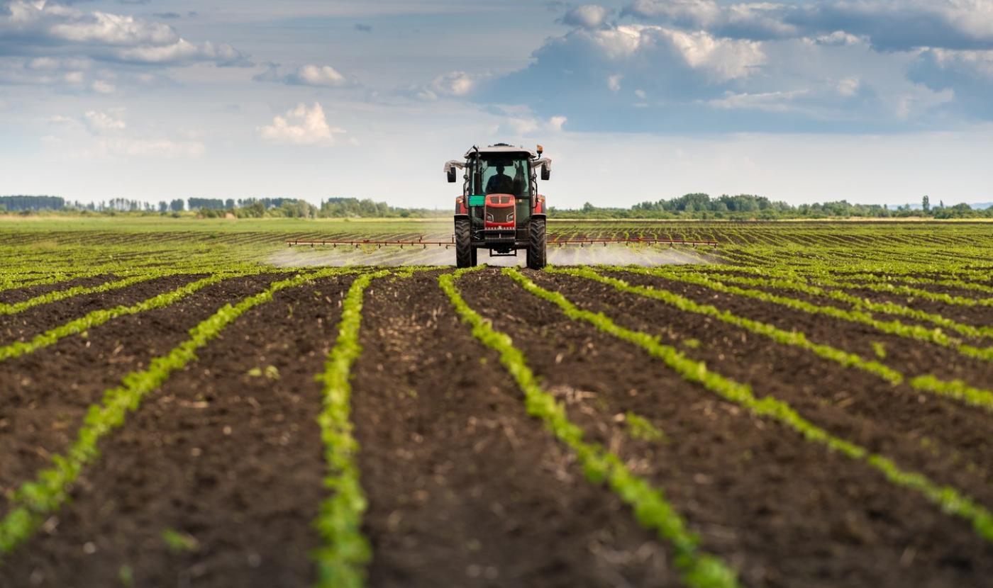 Pestizide werden auf einem Feld versprüht