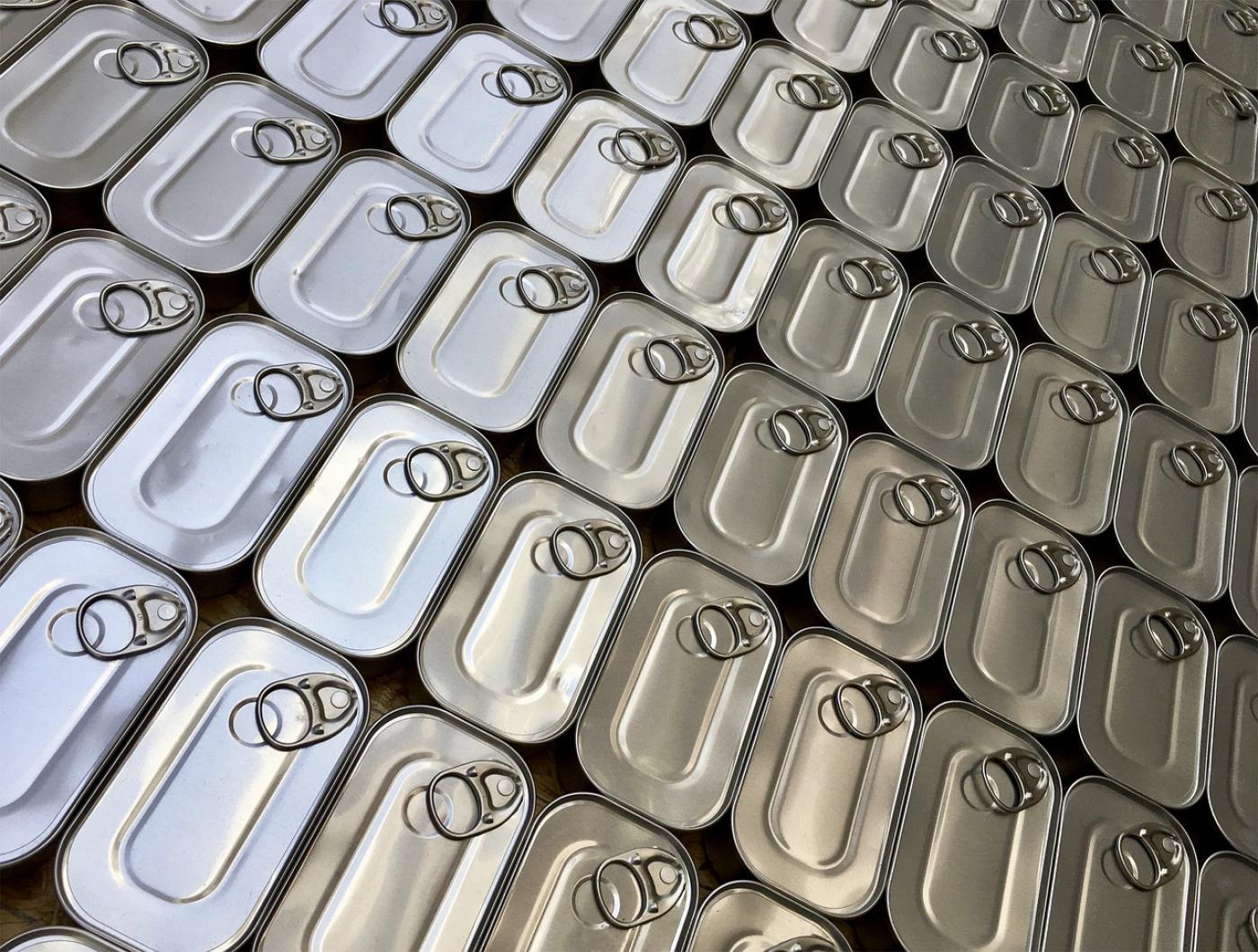 Fischkonserven von oben