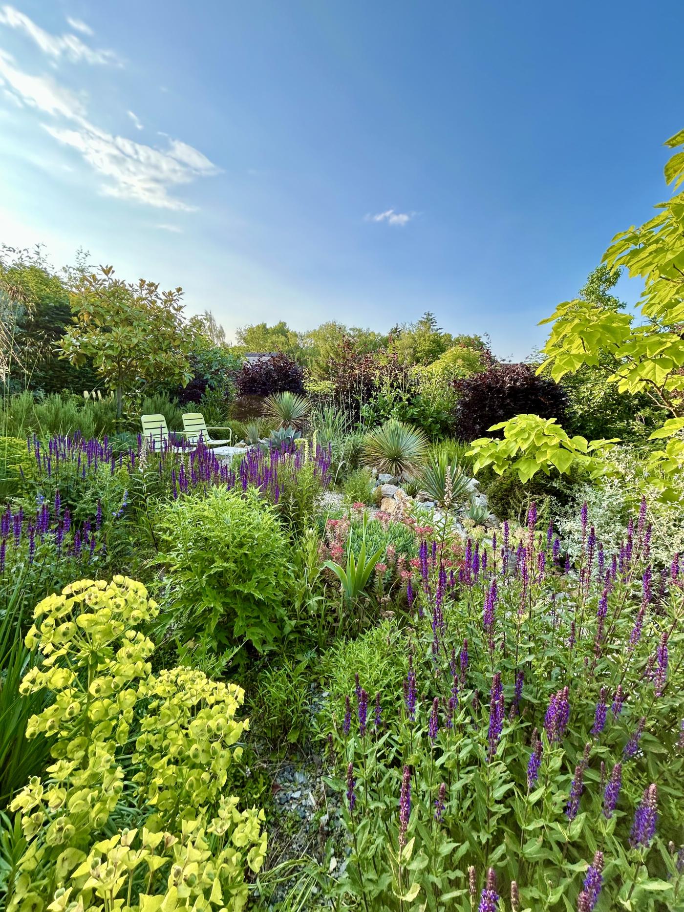 Naturgarten mit viel Grün