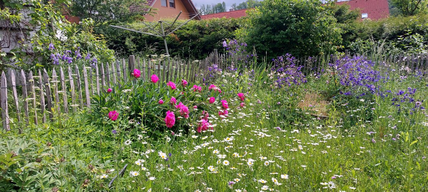 Naturgarten mit Blumen