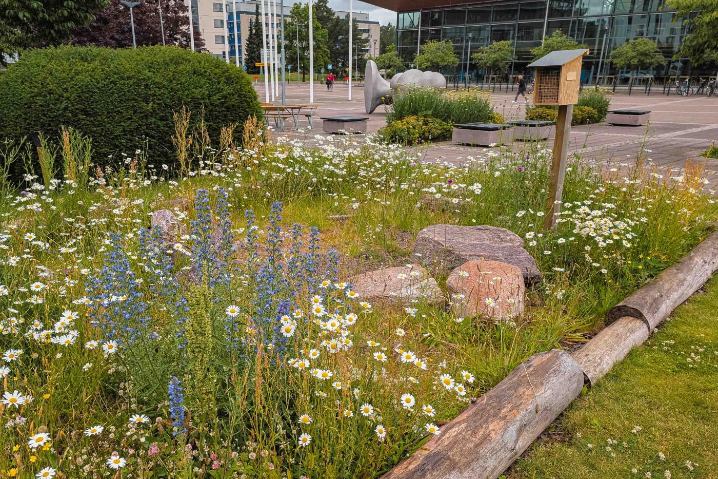 Naturnahe Grünfläche in der Stadt