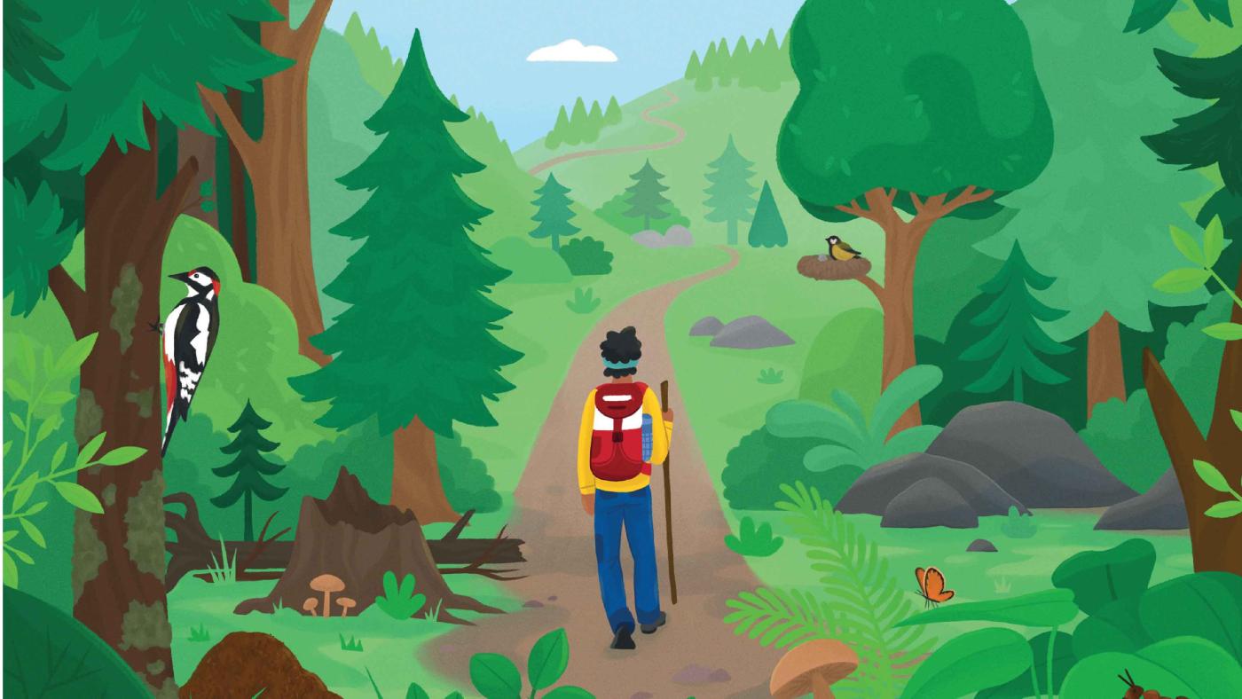 Illustration: Mensch mit Rucksack geht durch Wald, man sieht Bäume und einen Specht