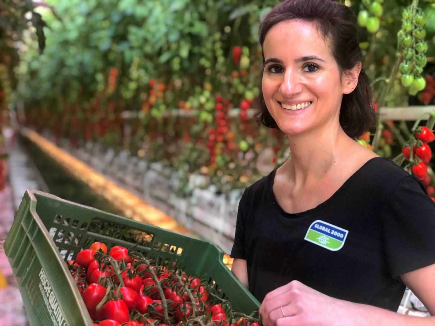 Anna Pollak von GLOBAL 2000 mit einer Kiste Tomaten in landwirtschaftlichem Betrieb