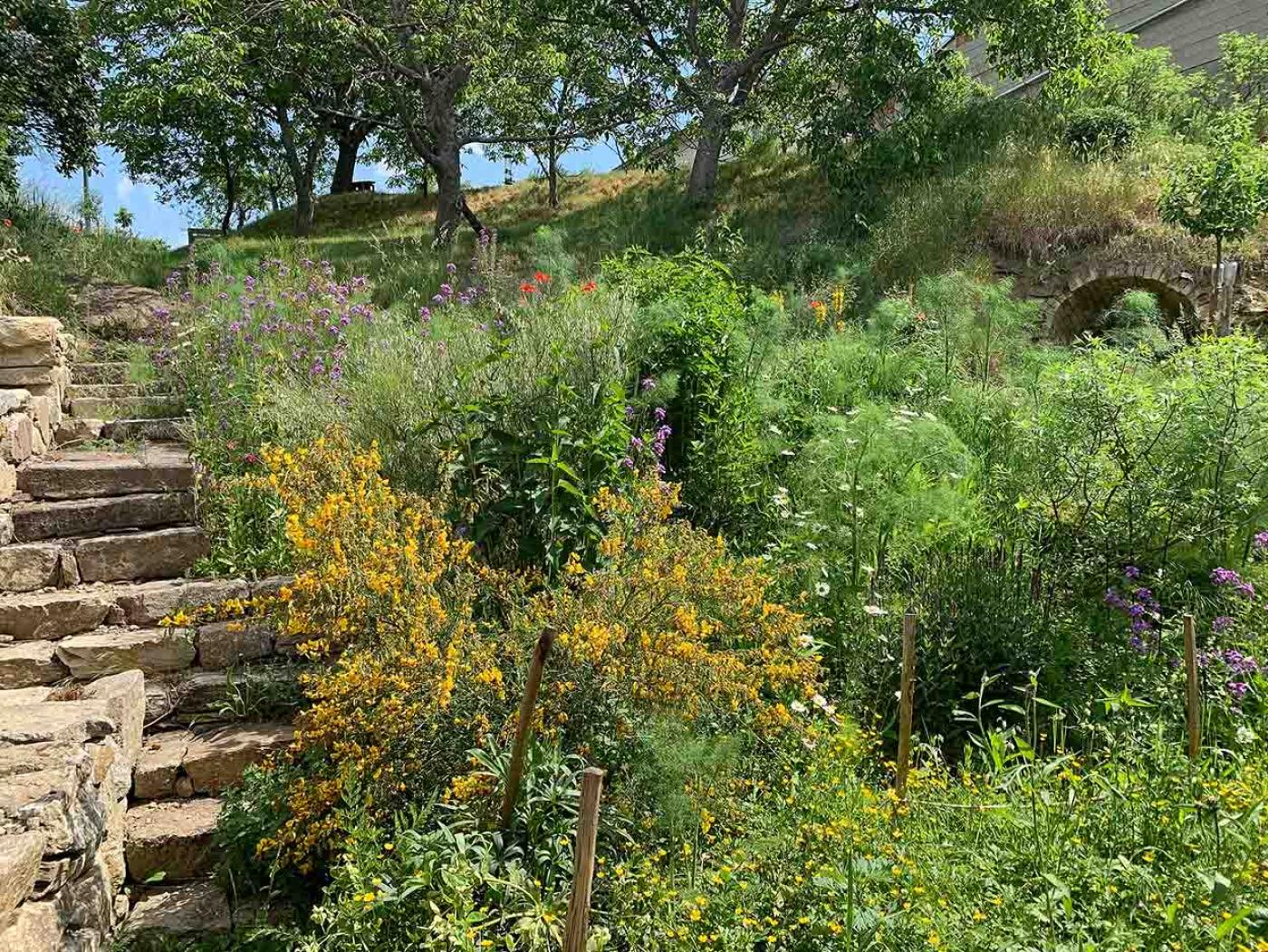 Nationalpark Garten Fotowettbewerb 3. Platz: Naturnaher Garten mit Büschen und einer Steintreppe links und Trockensteinmauern