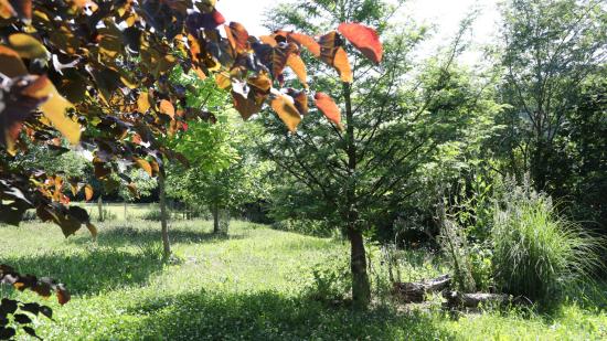Garten von Erna G. Garten von Erna G.