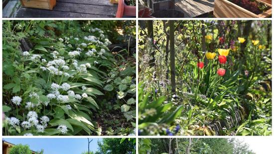 Garten von Simone H. Garten von Simone H.