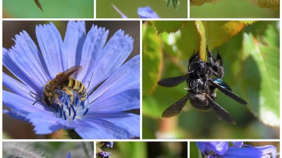 Garten von Simone H.