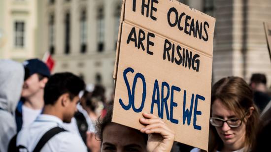 Earth Strike 2019 Wien