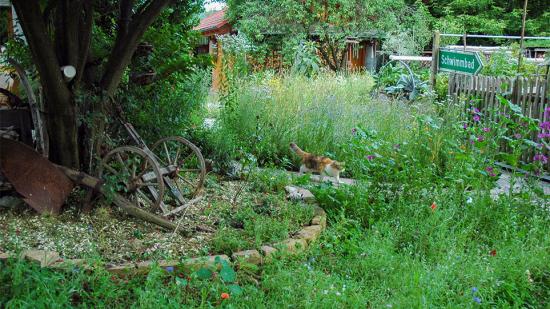 Garten von Frau Schantl