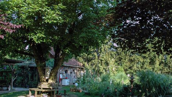 Garten von Frau Schantl Garten von Frau Schantl