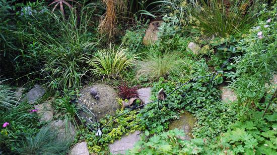 Garten von Frau Schantl Garten von Frau Schantl