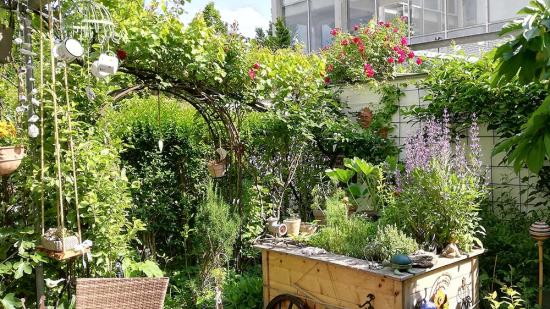 Nationalpark Garten Teilnehmer-Foto