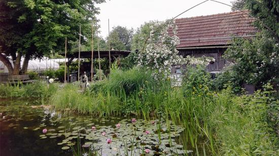 Garten von Frau Schantl Garten von Frau Schantl