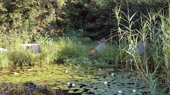 Garten von Frau Schantl Garten von Frau Schantl