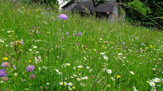 Platz 4: Anna S. aus der Steiermark