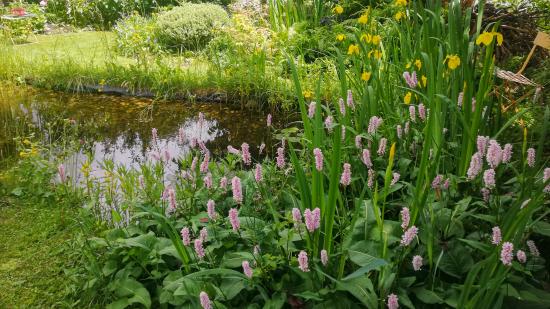 Platz 5: Hildegard P. aus der Steiermark