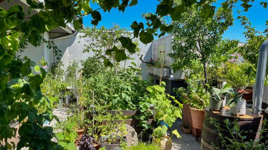 Platz 6: Romana G. aus Wien