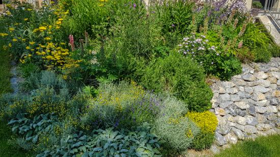 Platz 7: Klaus P. aus Wien