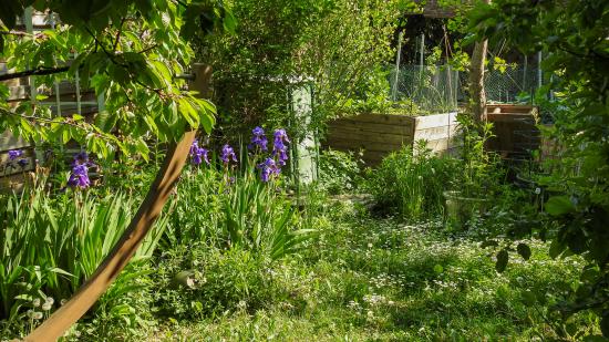 Platz 7: Klaus P. aus Wien