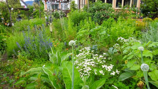 Platz 8: Hans P. aus der Steiermark