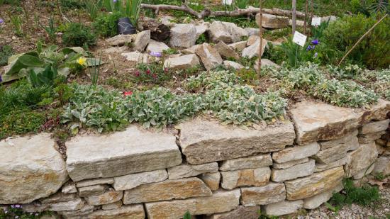 Living Gardens in Pfaffstätten