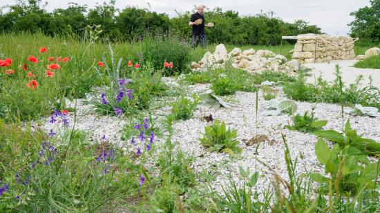 Living Gardens Tattendorf