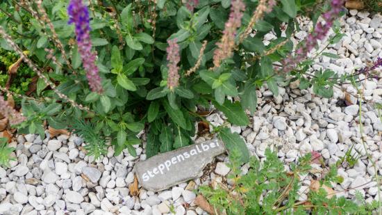 Living Gardens Pfaffstätten