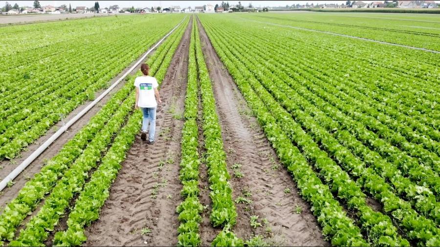 GLOBAL 2000 PestizidReduktionsProgramm