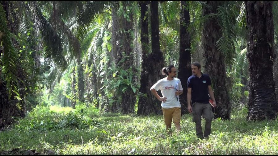 Neuer Palmöl-Report und großer Kekse-Check