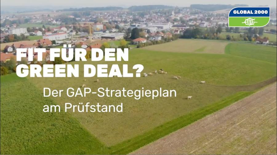 Fit für den Green Deal? Der GAP-Strategieplan am Prüfstand