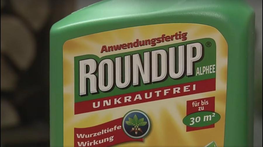 Glyphosat: Darum zeigen wir Monsanto und Kontrollbehörden an