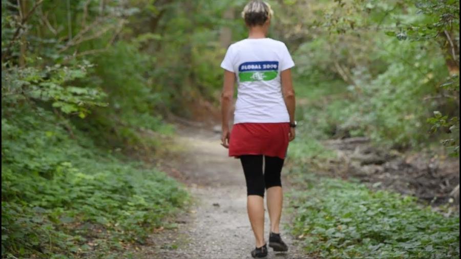 GLOBAL 2000 Schmetterlingsweg