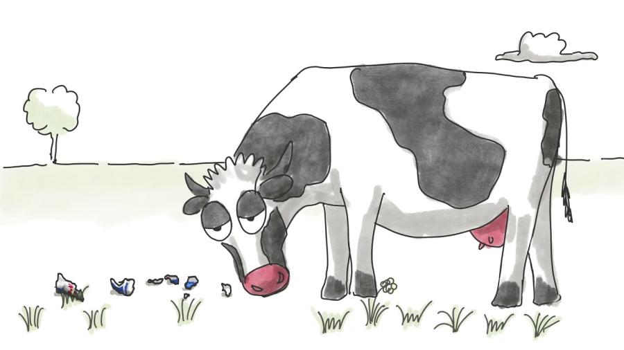 Red Bull Dosen in der Natur verleihen Flügel!